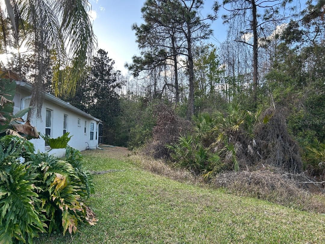 15712 Cedar Elm Terrace Land O Lakes FL 34638 TB8482581 image14