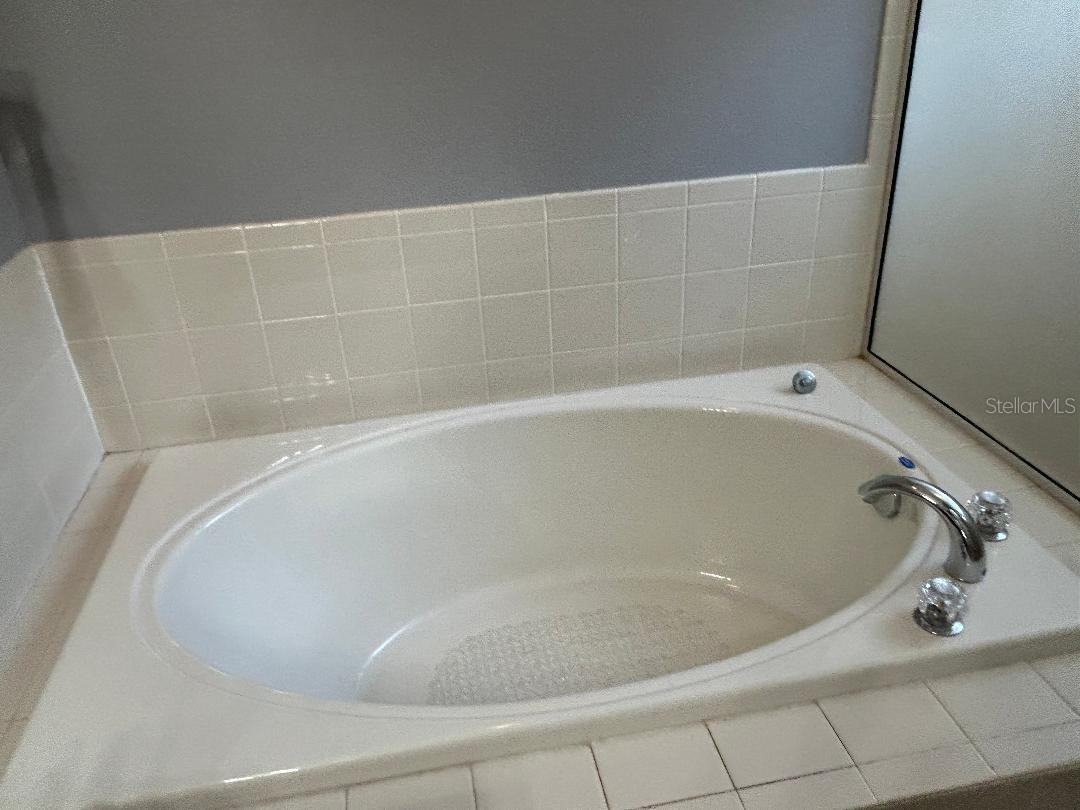 15712 Cedar Elm Terrace Land O Lakes FL 34638 TB8482581 image16