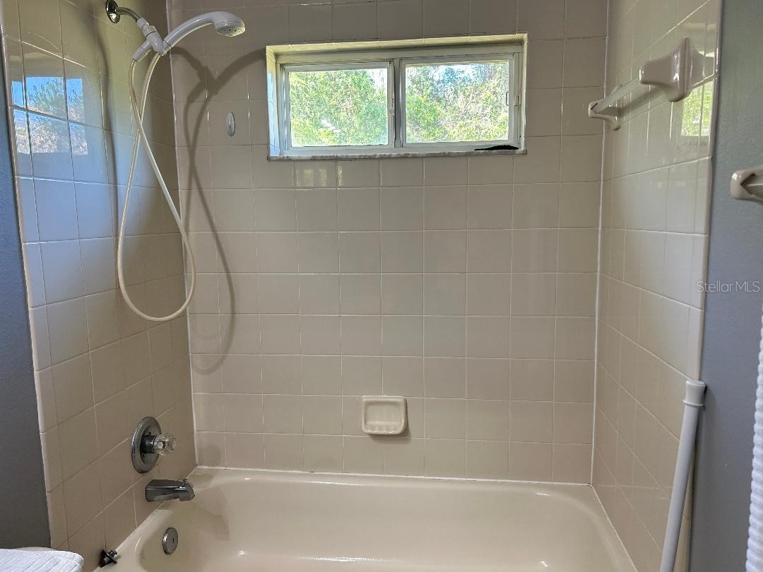 15712 Cedar Elm Terrace Land O Lakes FL 34638 TB8482581 image17