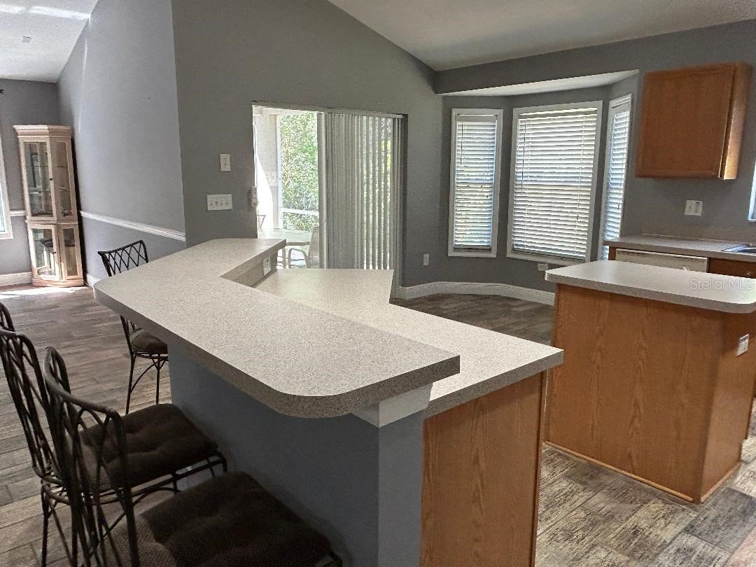 15712 Cedar Elm Terrace Land O Lakes FL 34638 TB8482581 image21