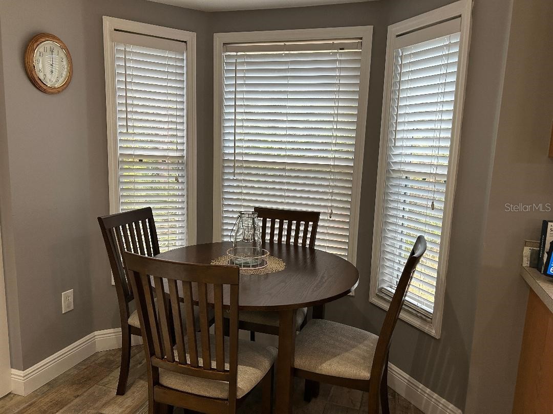 15712 Cedar Elm Terrace Land O Lakes FL 34638 TB8482581 image7