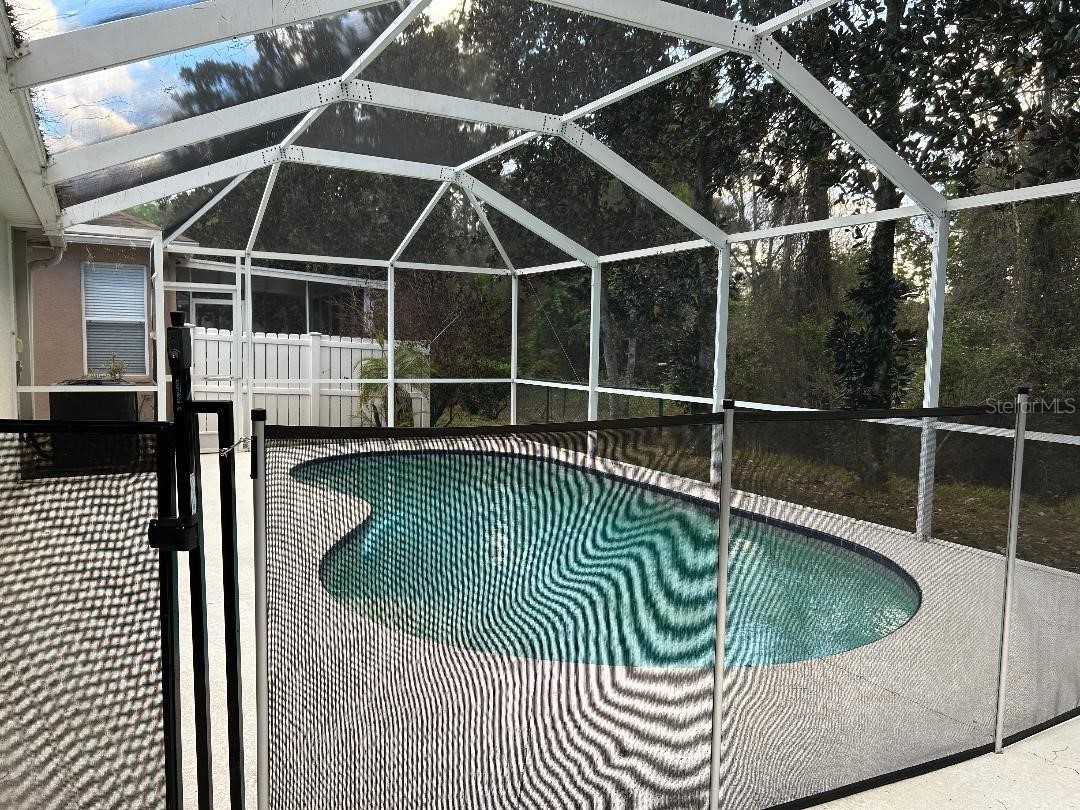 15712 Cedar Elm Terrace Land O Lakes FL 34638 TB8482581 image9