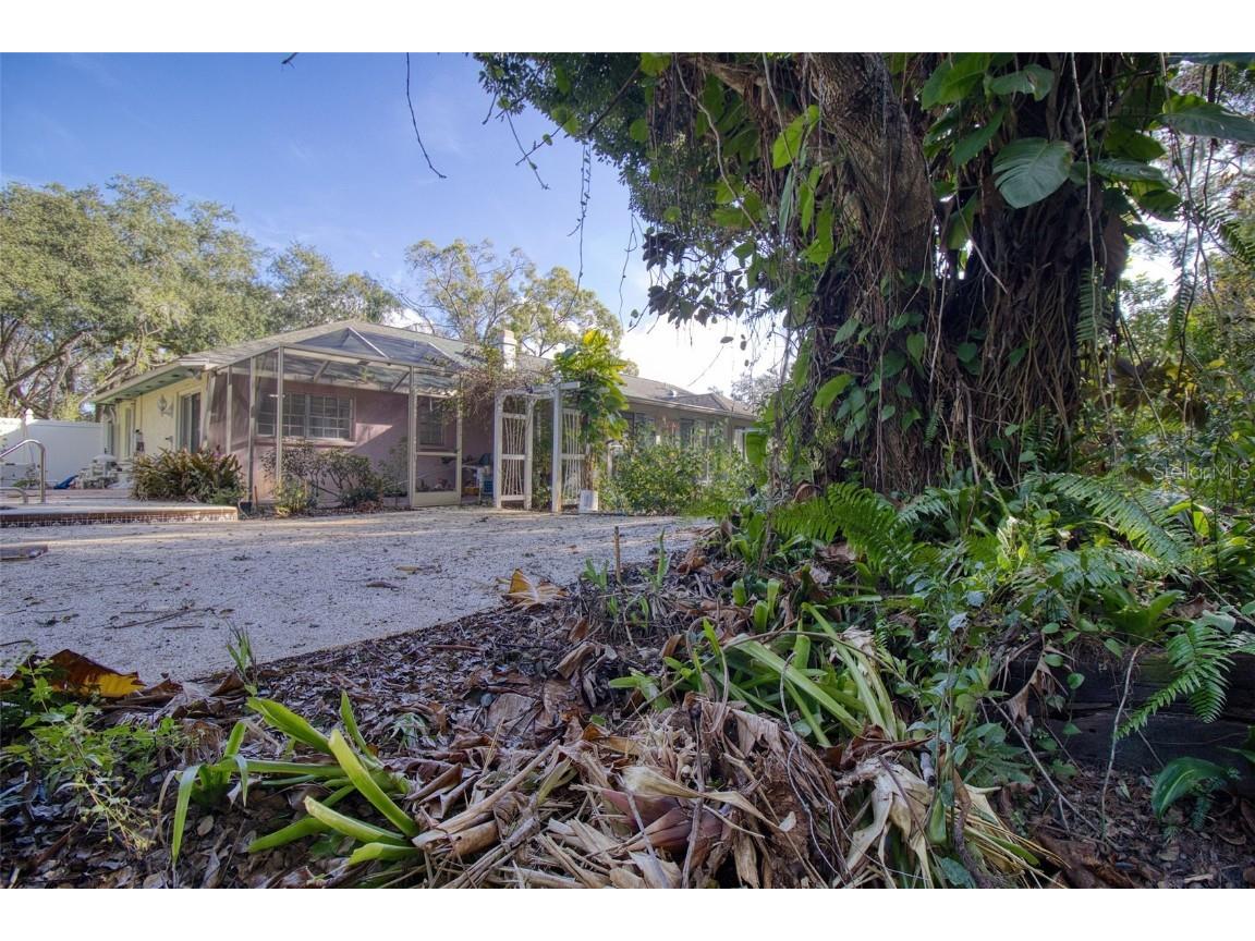 15715 Almondwood Drive Tampa FL 33613 TB8457525 image3