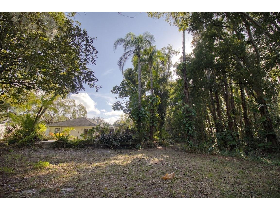 15715 Almondwood Drive Tampa FL 33613 TB8457525 image40