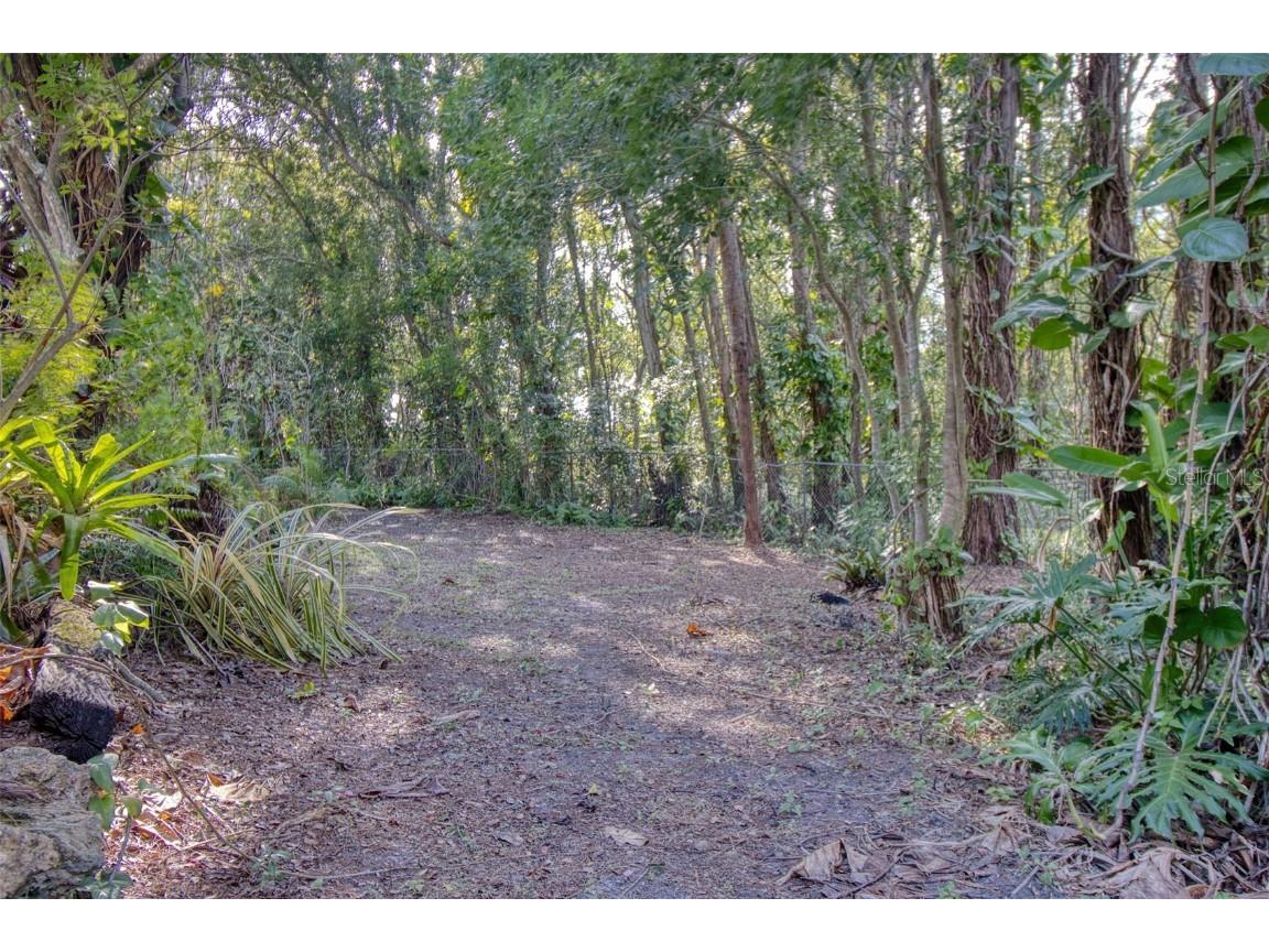 15715 Almondwood Drive Tampa FL 33613 TB8457525 image41