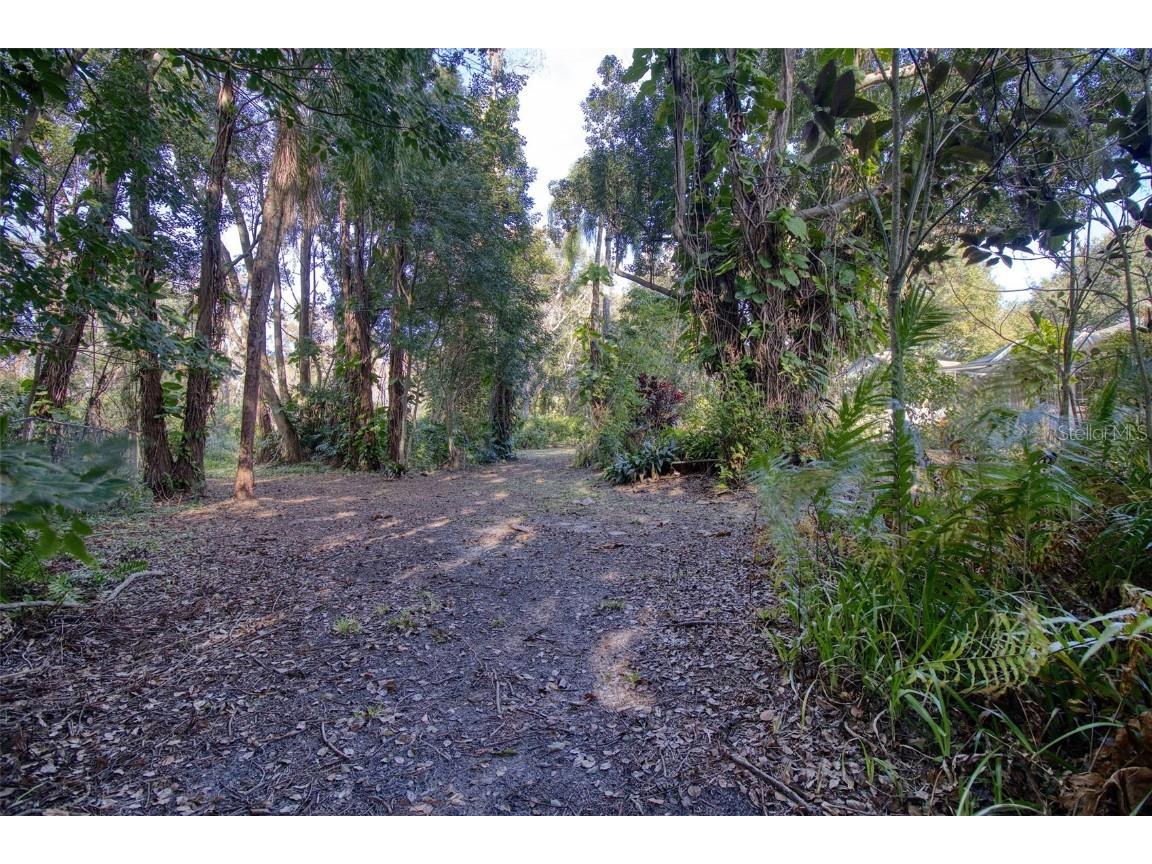 15715 Almondwood Drive Tampa FL 33613 TB8457525 image43