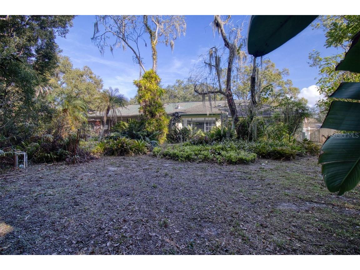 15715 Almondwood Drive Tampa FL 33613 TB8457525 image44