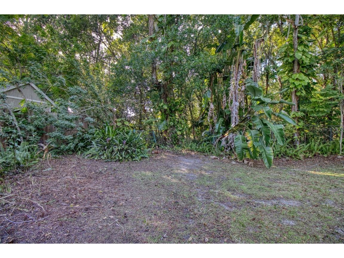 15715 Almondwood Drive Tampa FL 33613 TB8457525 image45