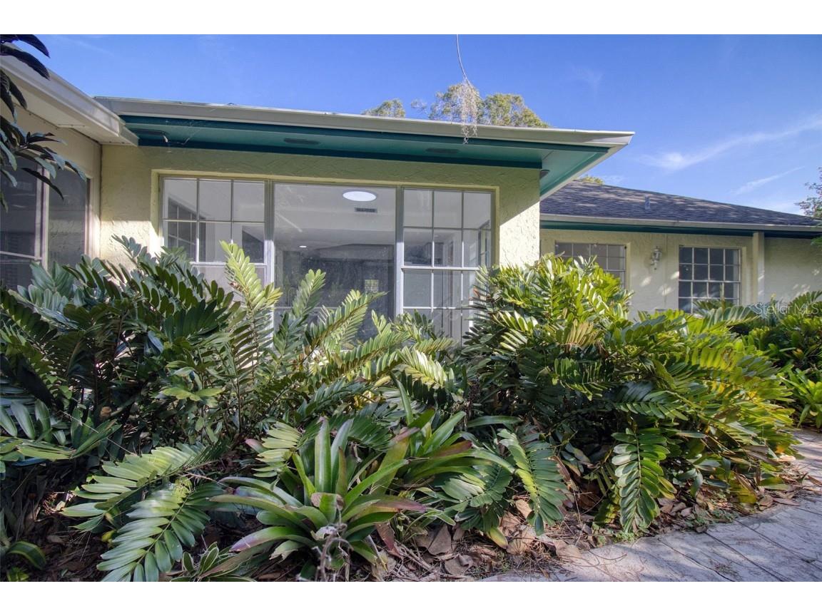 15715 Almondwood Drive Tampa FL 33613 TB8457525 image47