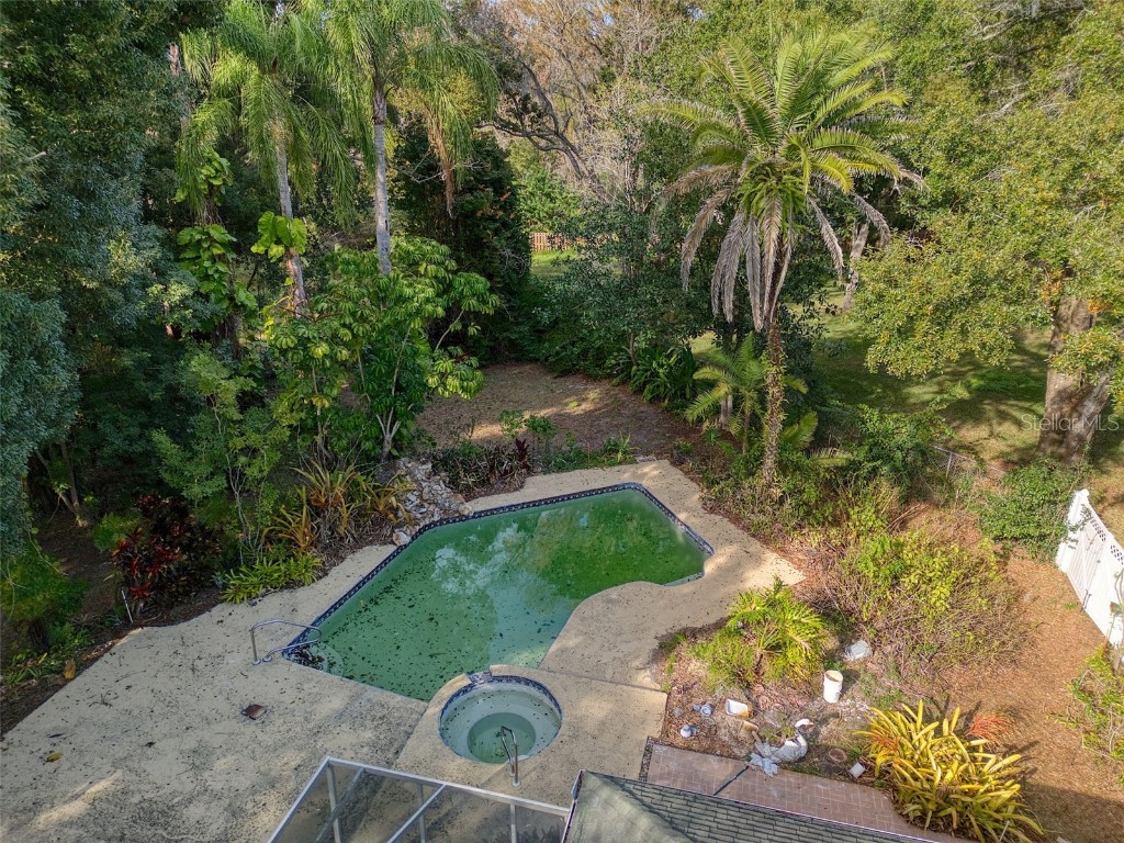 15715 Almondwood Drive Tampa FL 33613 TB8457525 image48