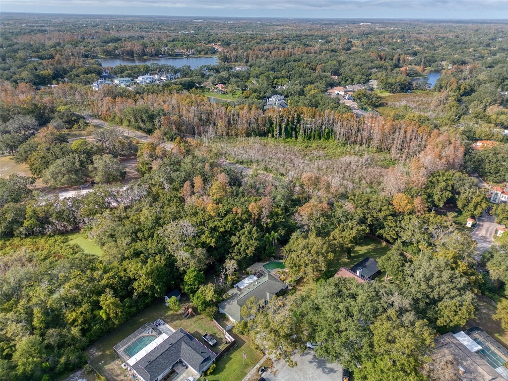 15715 Almondwood Drive Tampa FL 33613 TB8457525 image52