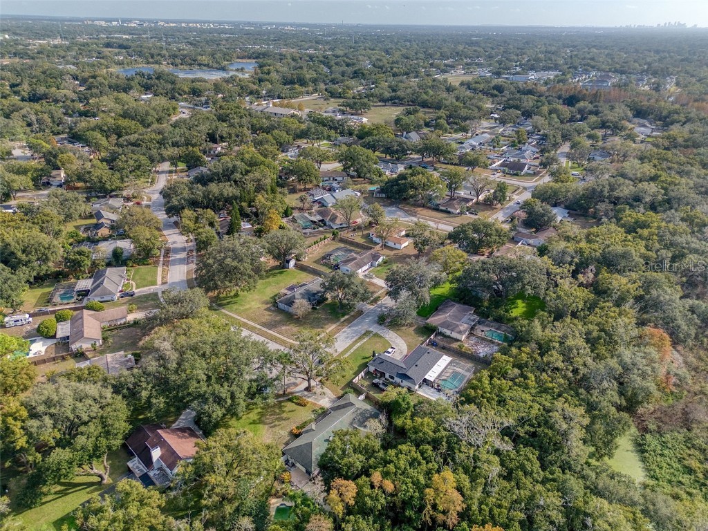 15715 Almondwood Drive Tampa FL 33613 TB8457525 image55