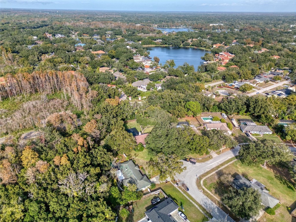 15715 Almondwood Drive Tampa FL 33613 TB8457525 image57