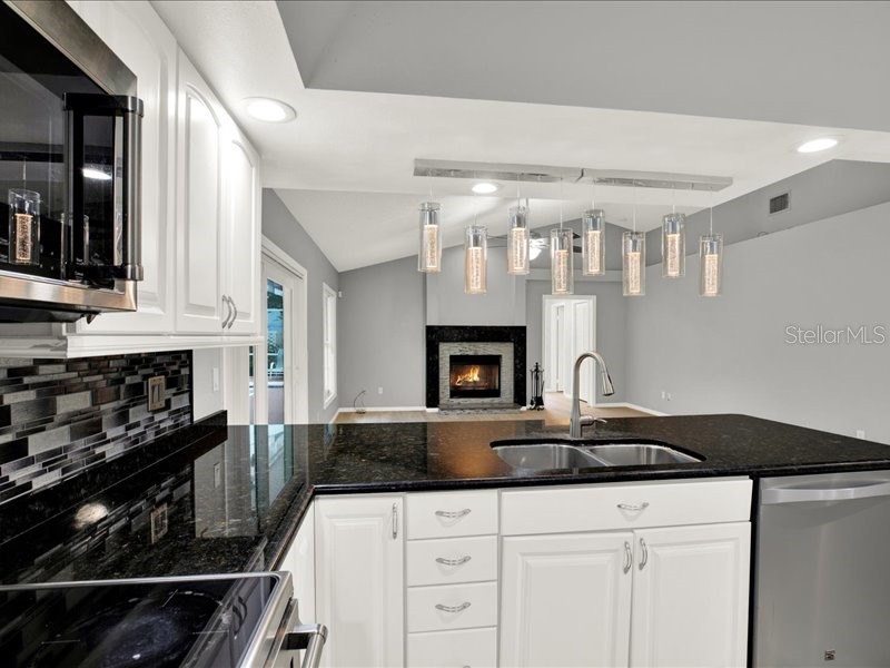 15717 Jericho Drive Odessa FL 33556 TB8401854 image15