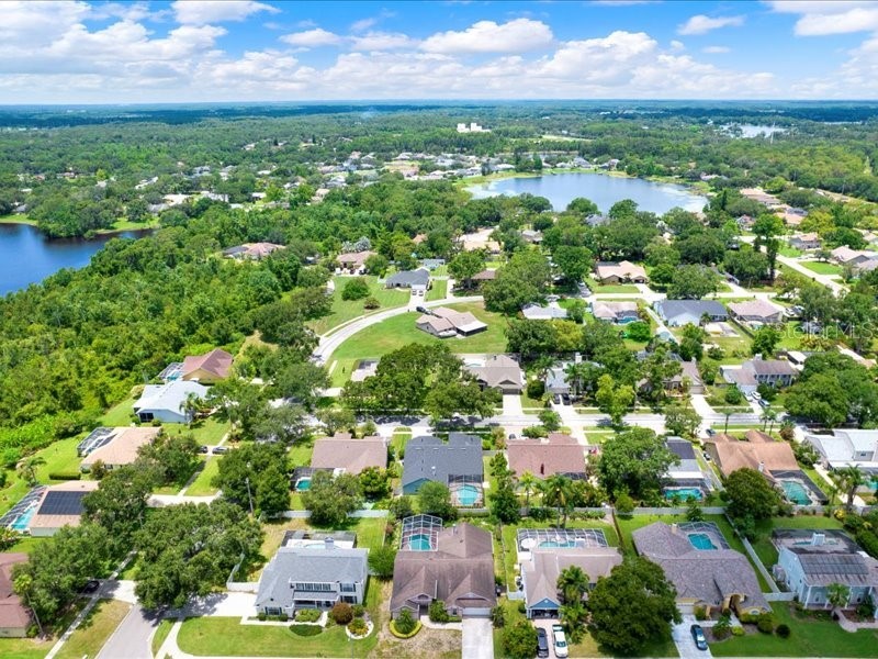 15717 Jericho Drive Odessa FL 33556 TB8401854 image2