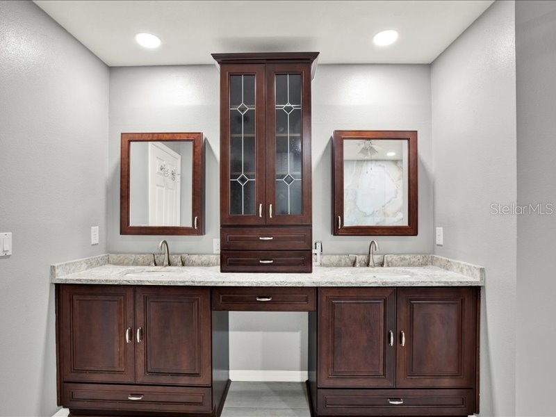 15717 Jericho Drive Odessa FL 33556 TB8401854 image22