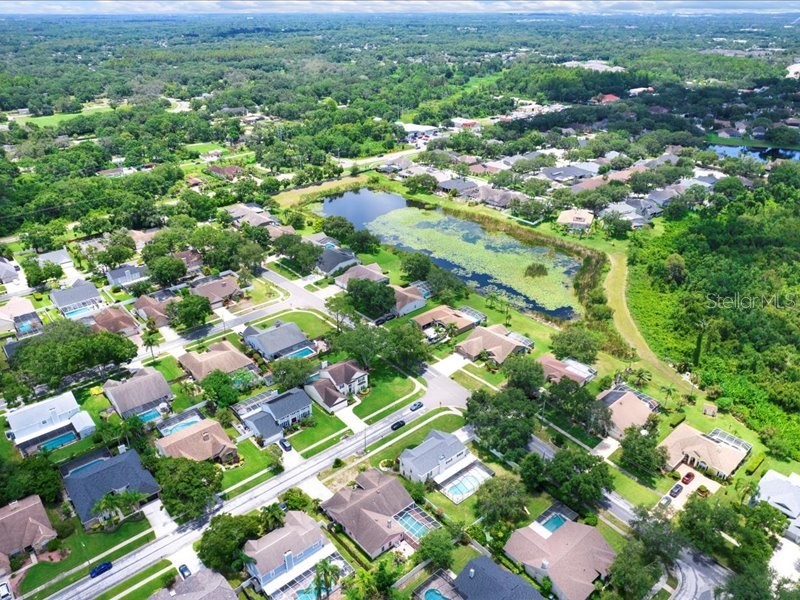 15717 Jericho Drive Odessa FL 33556 TB8401854 image47