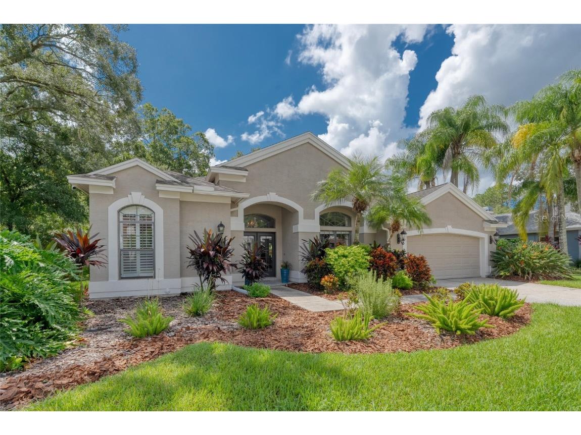 15719 Muirfield Drive Odessa FL 33556 U8255425 image1