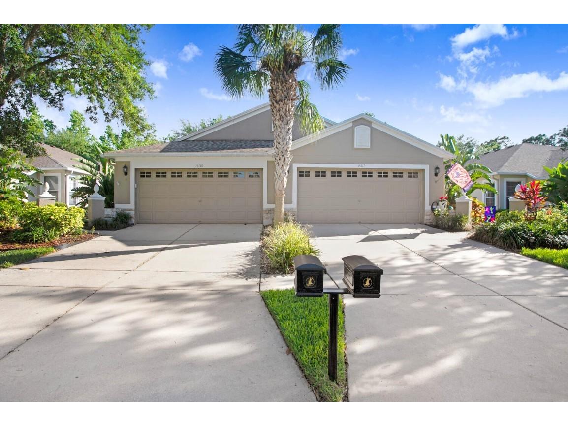 15719 Phoebepark Avenue Lithia FL 33547 T3437412 image1