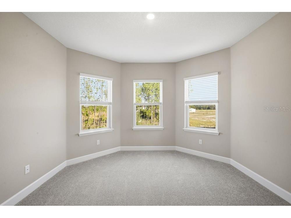 1572 Trailhead Lane Zephyrhills FL 33541 TB8455004 image12