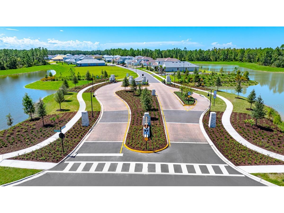 1572 Trailhead Lane Zephyrhills FL 33541 TB8455004 image34