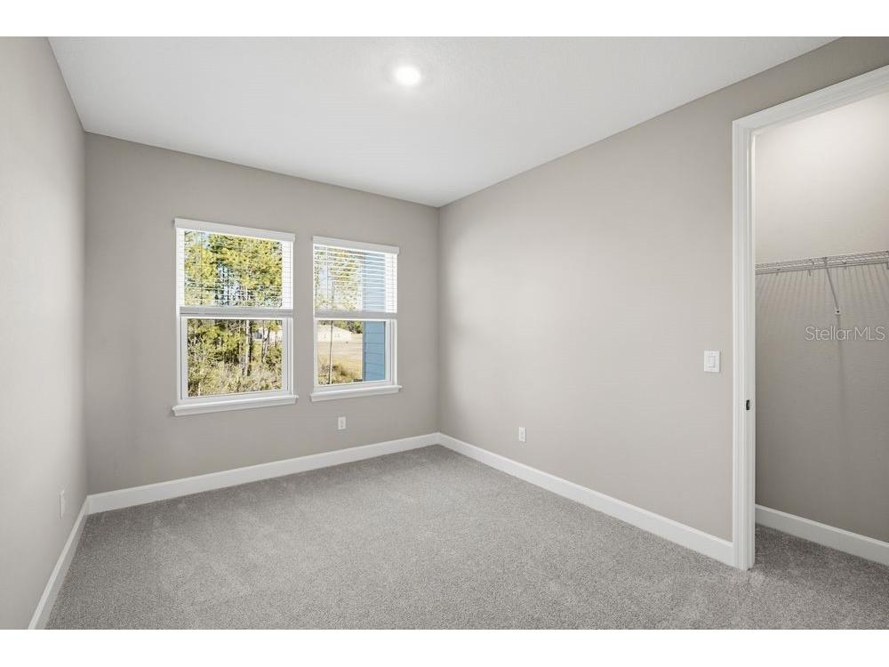 1572 Trailhead Lane Zephyrhills FL 33541 TB8497985 image18