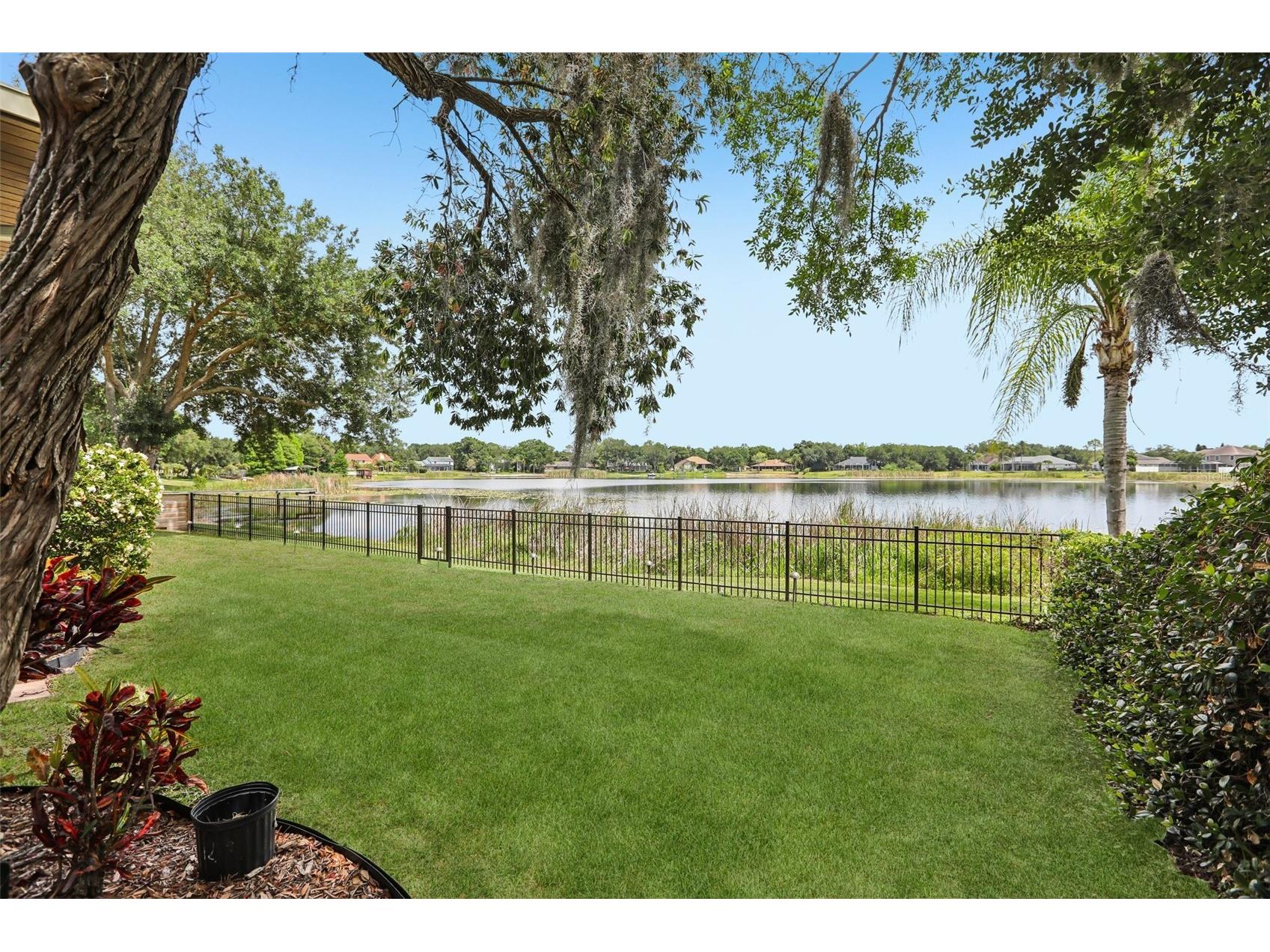 15720 Berea Drive Odessa FL 33556 - Lake Grace TB8506049 image49