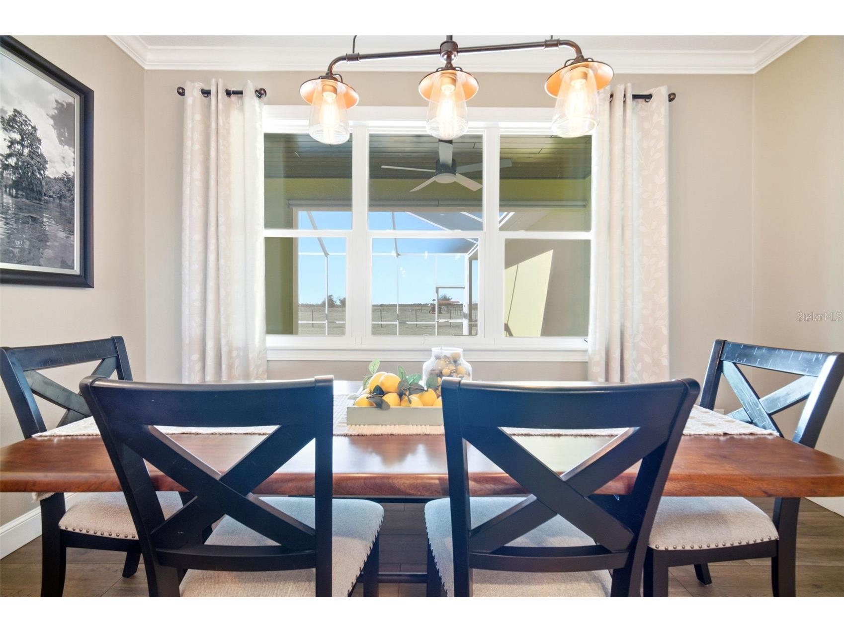 15721 Colding Loop Wimauma FL 33598 TB8477053 image20