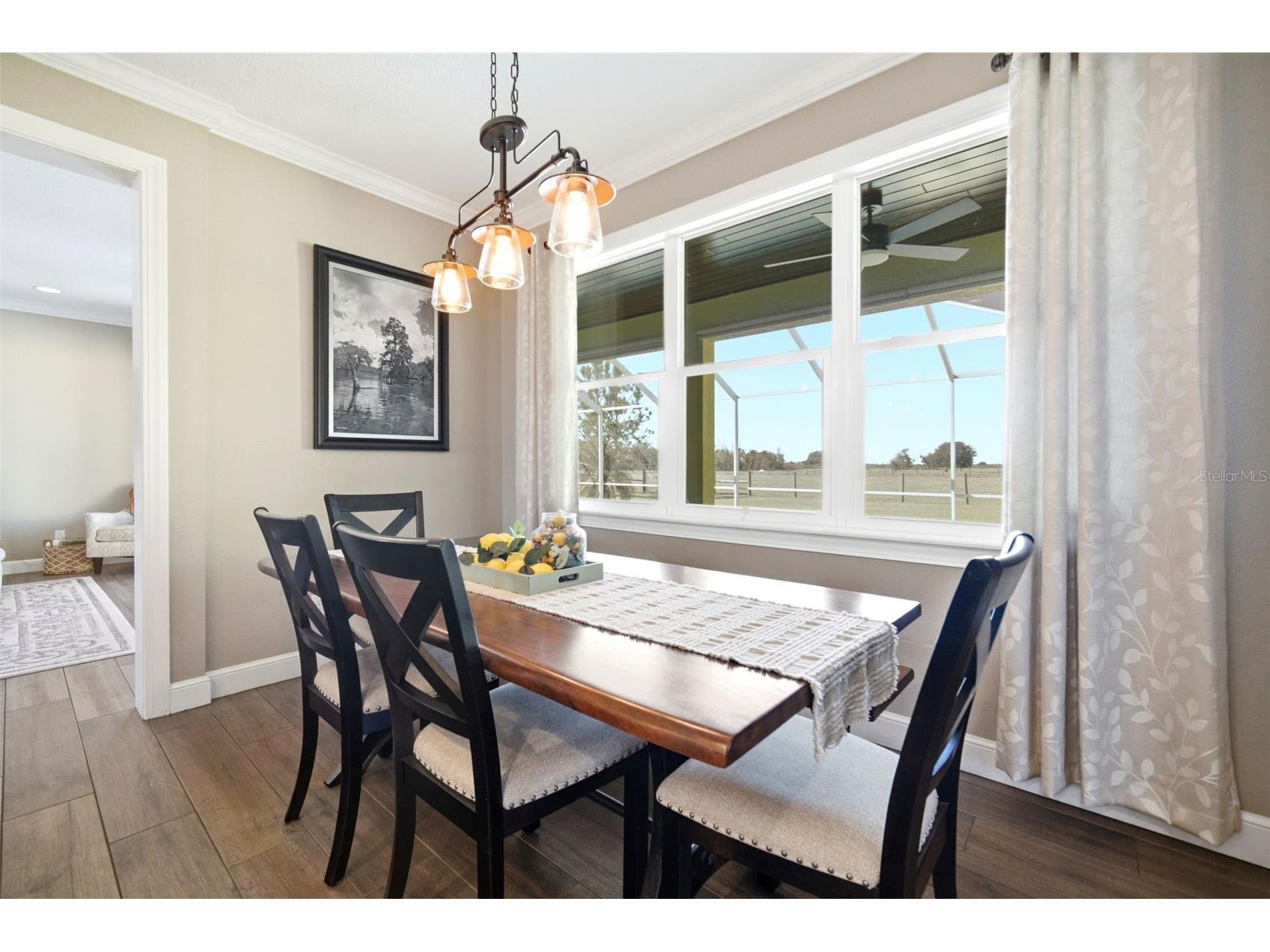 15721 Colding Loop Wimauma FL 33598 TB8477053 image21