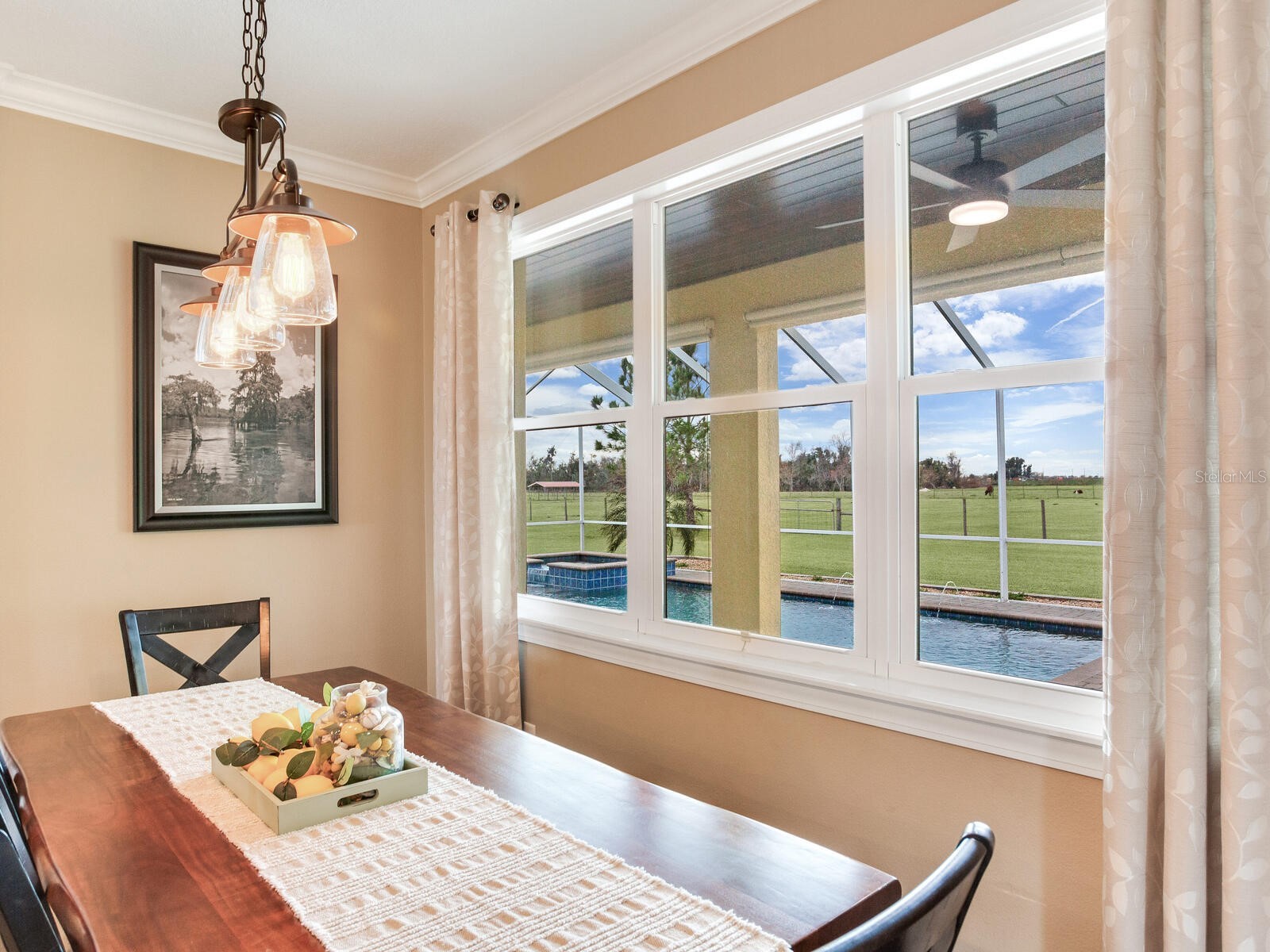 15721 Colding Loop Wimauma FL 33598 TB8477053 image23