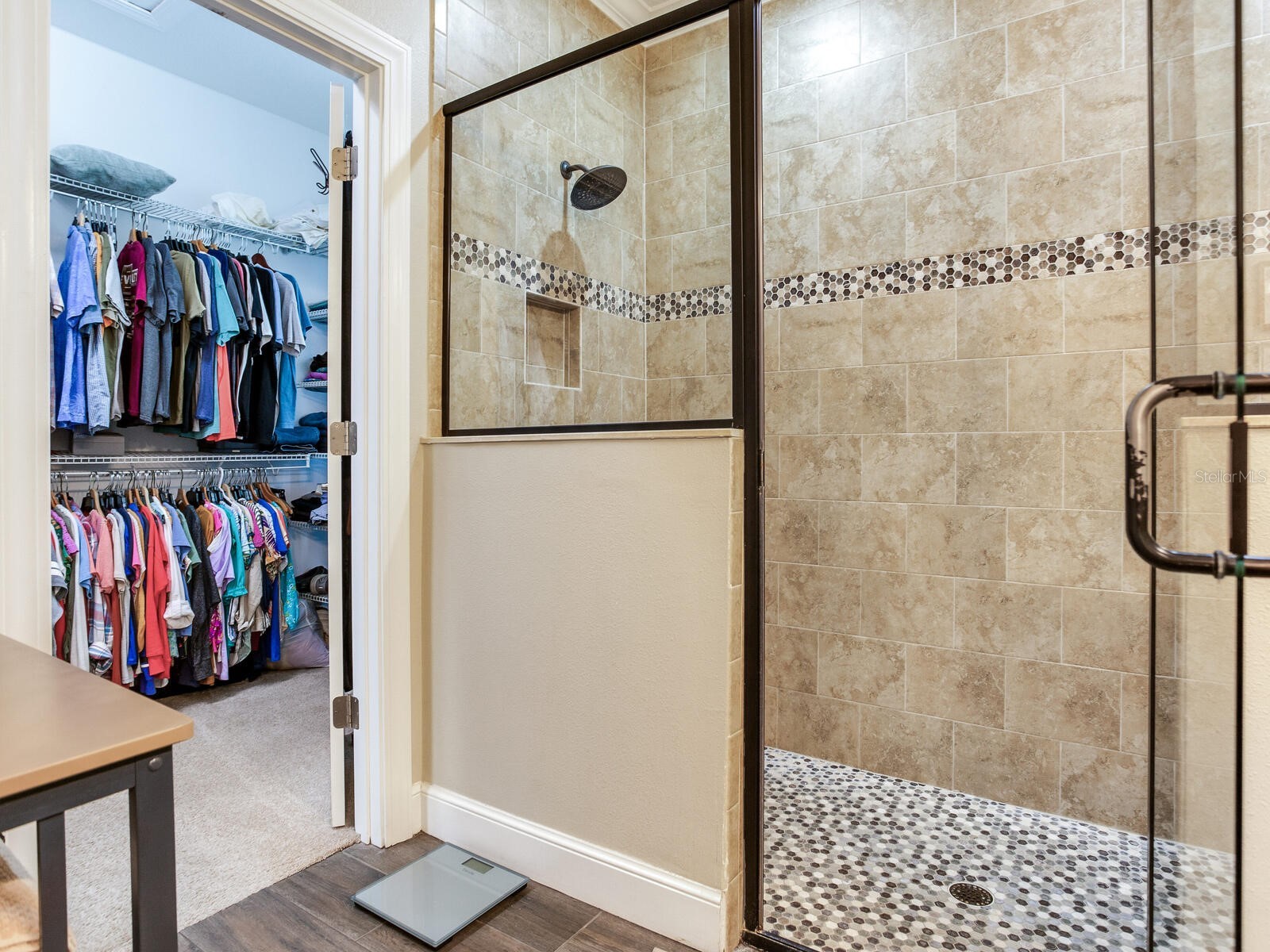 15721 Colding Loop Wimauma FL 33598 TB8477053 image31