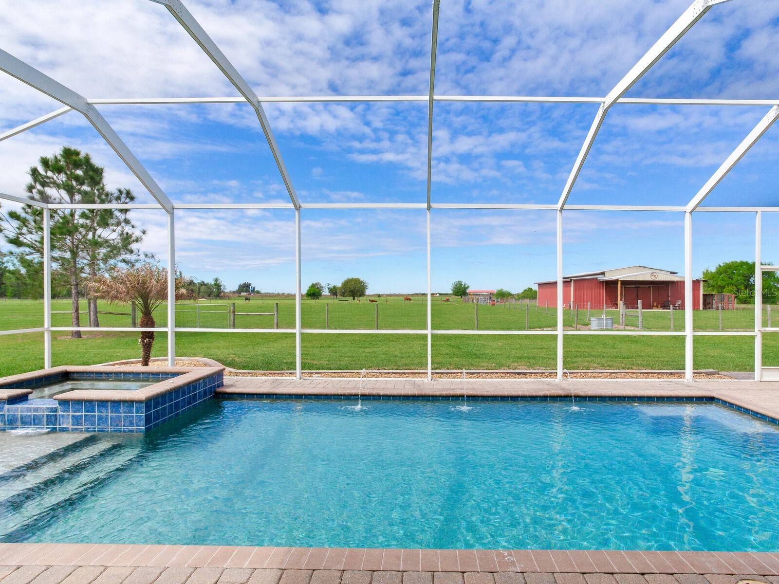 15721 Colding Loop Wimauma FL 33598 TB8477053 image40