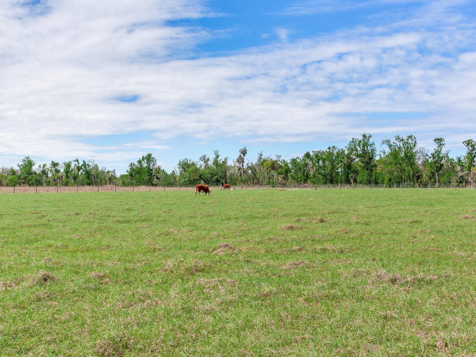 15721 Colding Loop Wimauma FL 33598 TB8477053 image56