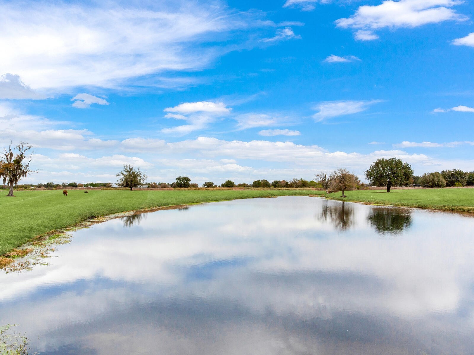 15721 Colding Loop Wimauma FL 33598 TB8477053 image58