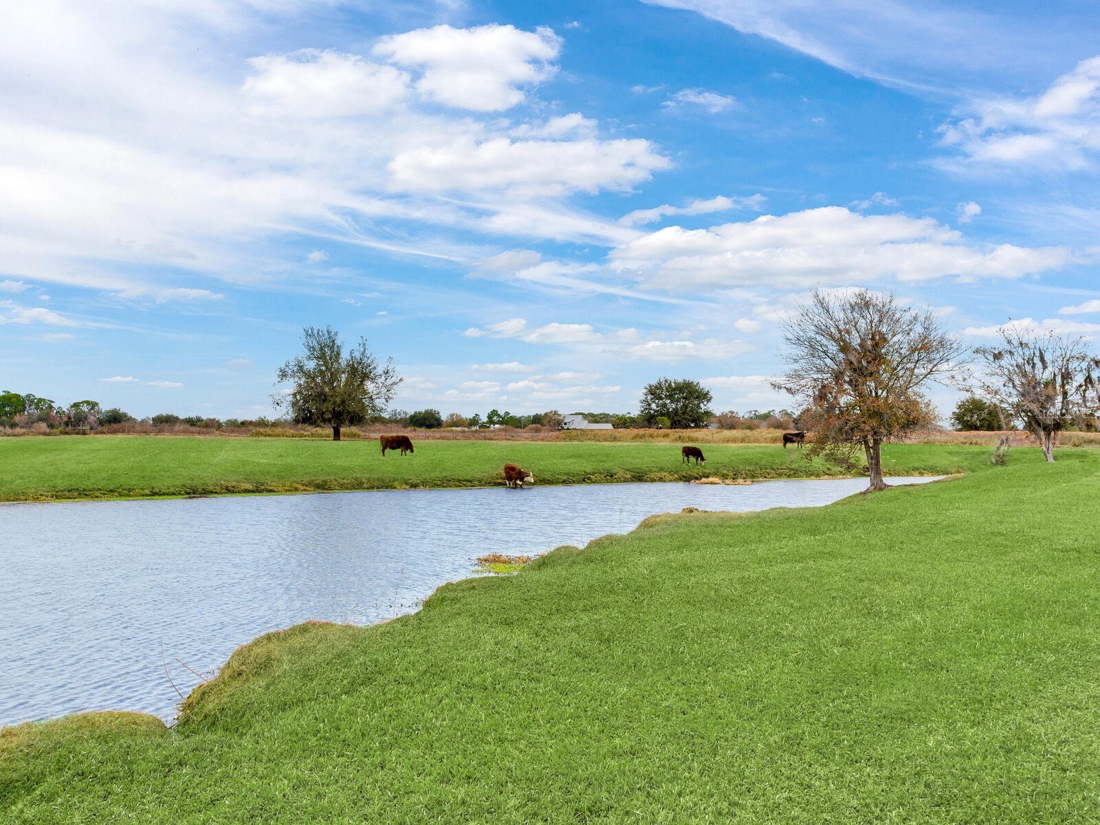 15721 Colding Loop Wimauma FL 33598 TB8477053 image59