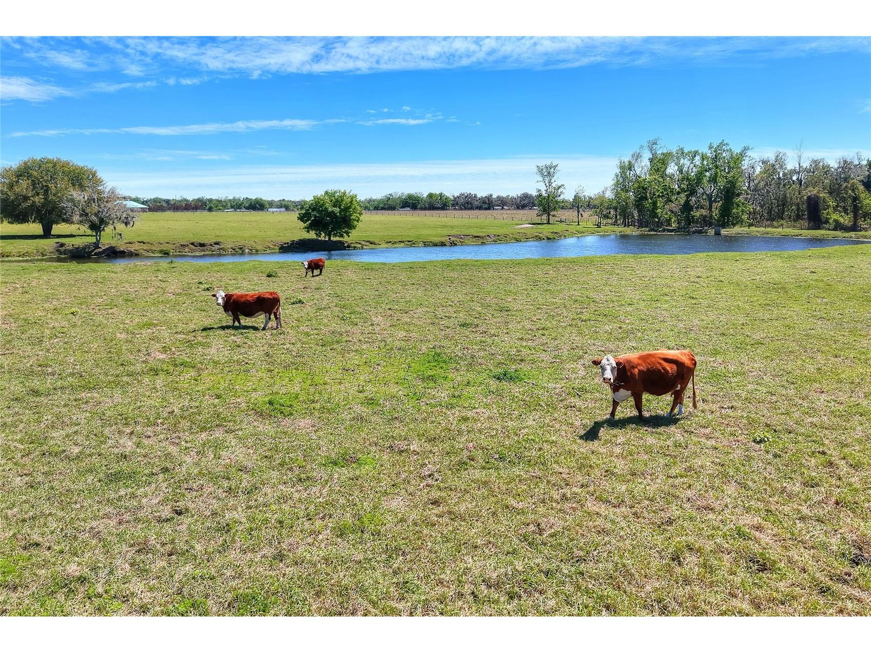 15721 Colding Loop Wimauma FL 33598 TB8477053 image60