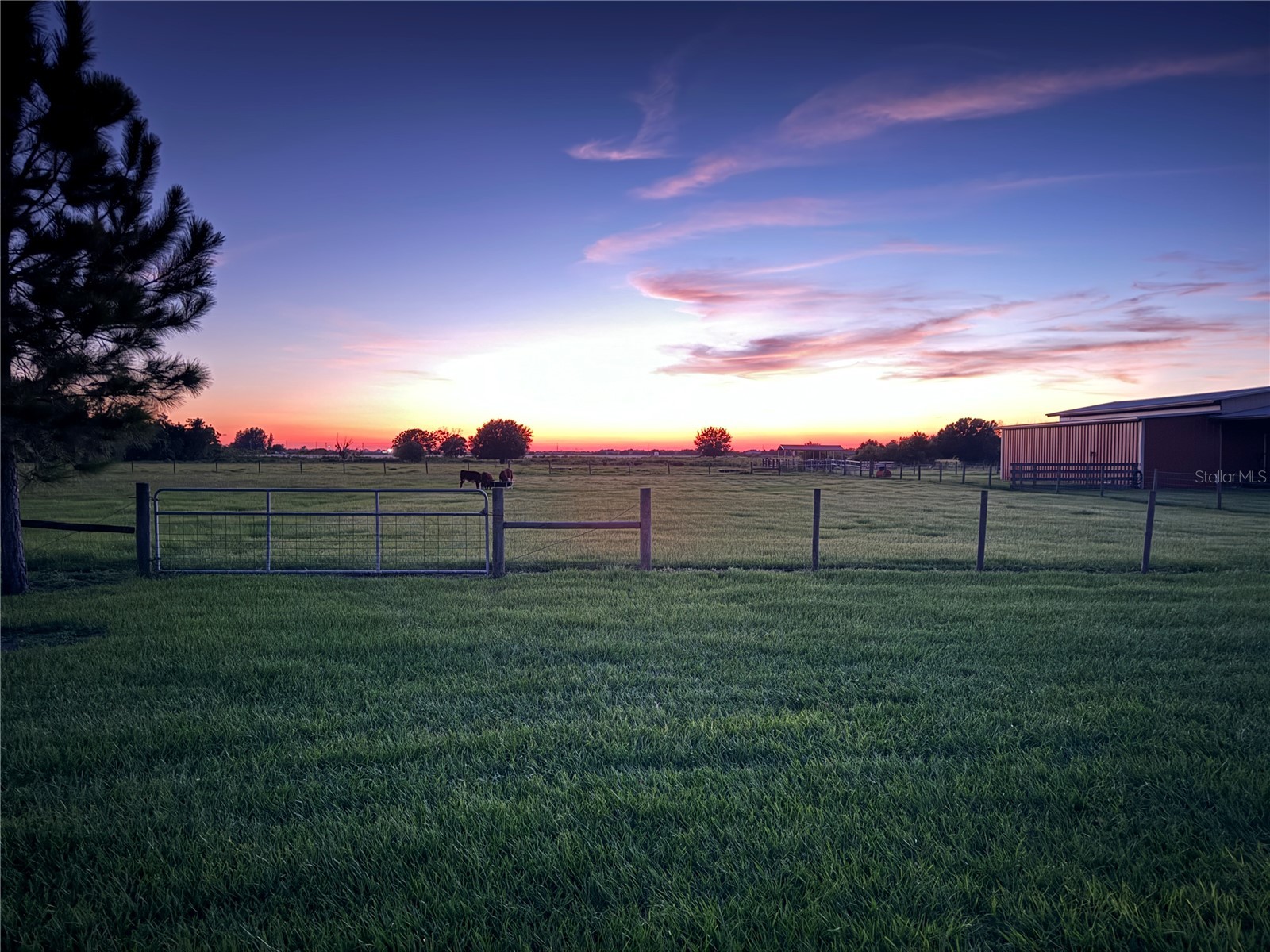 15721 Colding Loop Wimauma FL 33598 TB8477053 image63