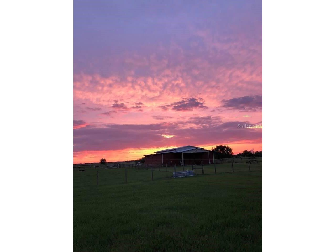 15721 Colding Loop Wimauma FL 33598 TB8477053 image64