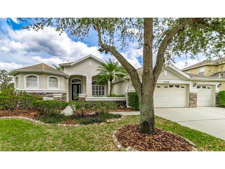 15721 Ibisridge Drive Lithia FL 33547 T3525016 image1
