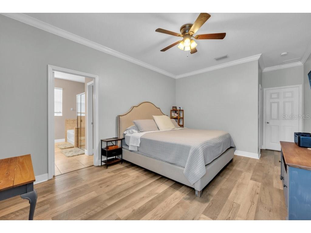 15721 Oakleaf Run Drive Lithia FL 33547 TB8492356 image21