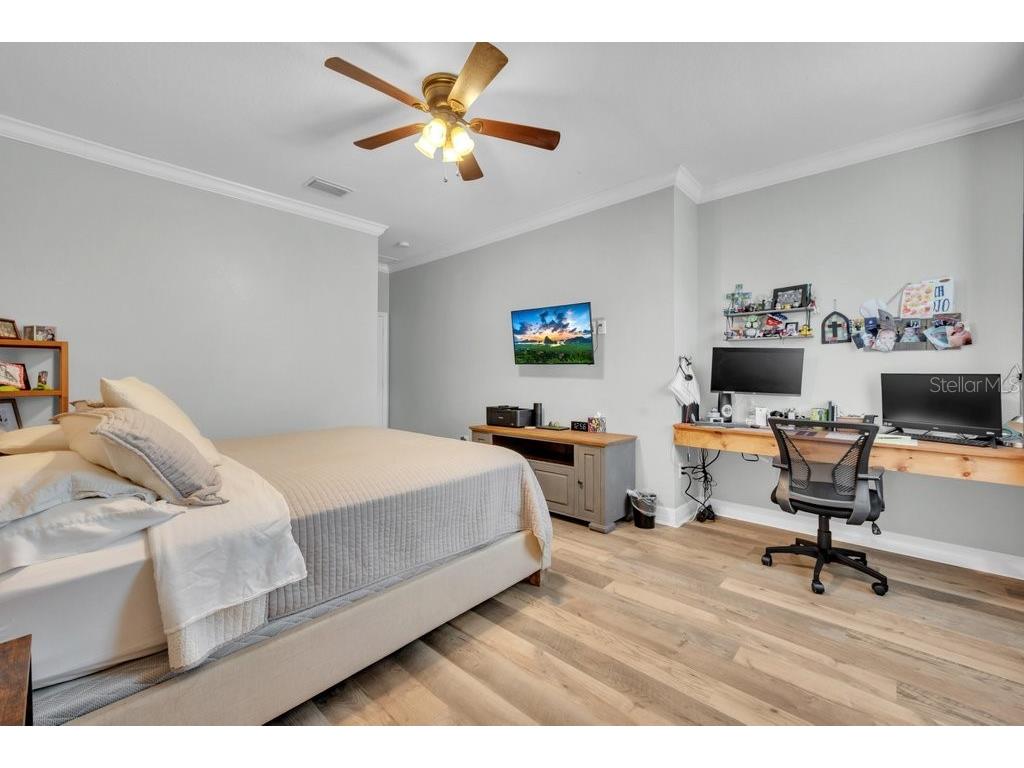 15721 Oakleaf Run Drive Lithia FL 33547 TB8492356 image22