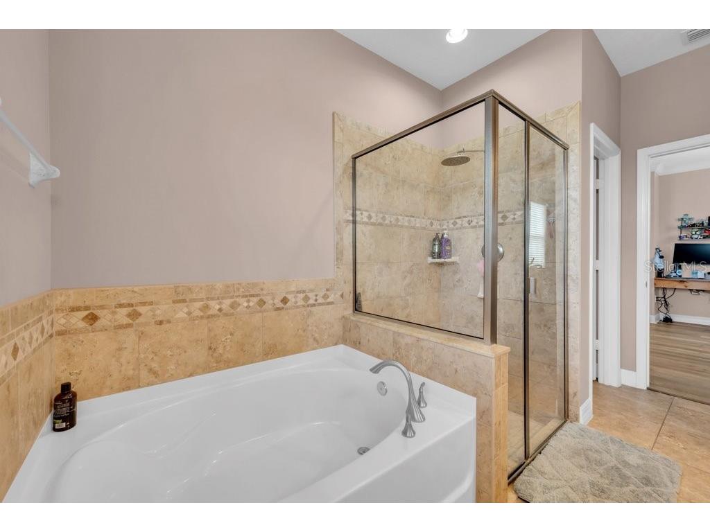 15721 Oakleaf Run Drive Lithia FL 33547 TB8492356 image24