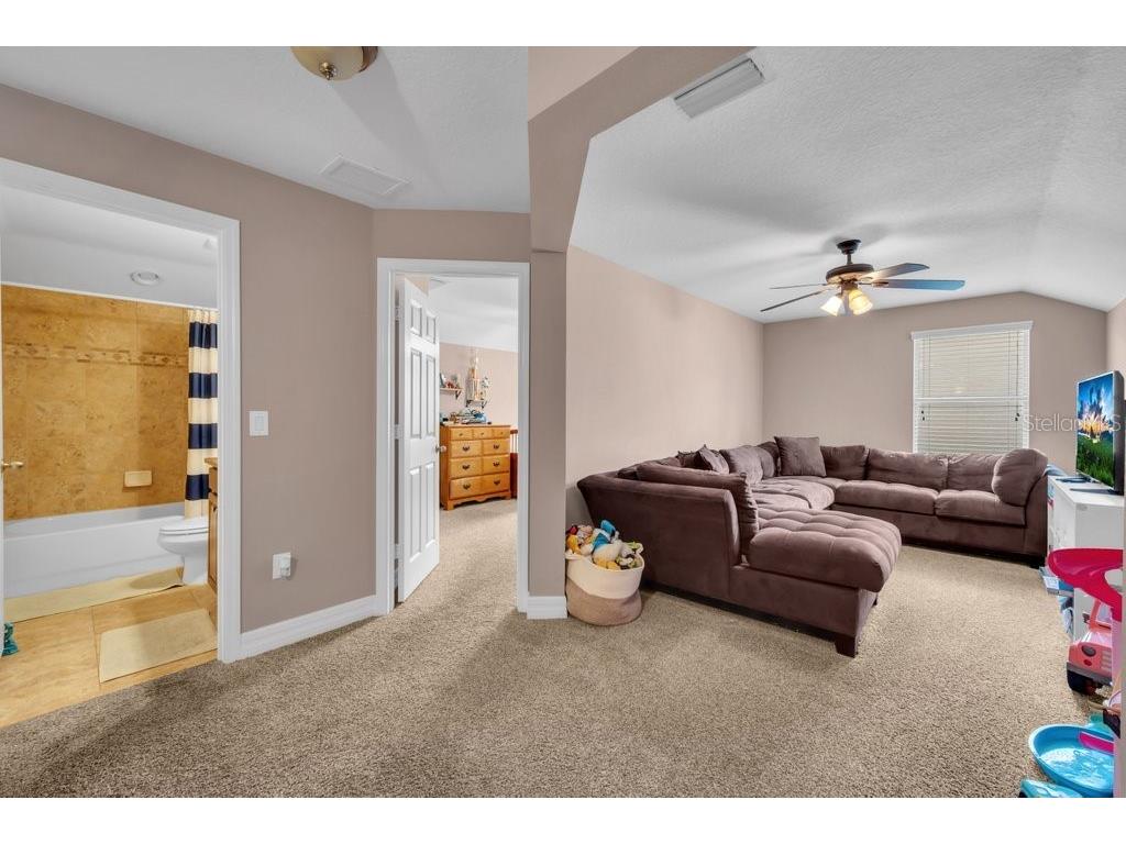 15721 Oakleaf Run Drive Lithia FL 33547 TB8492356 image30