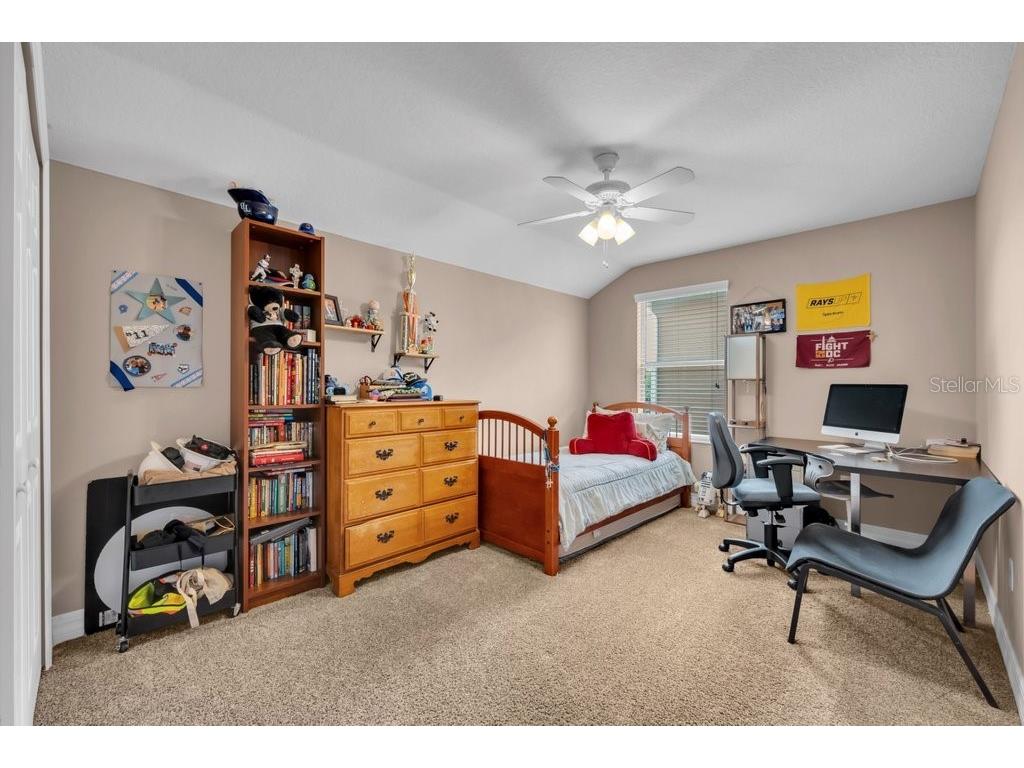 15721 Oakleaf Run Drive Lithia FL 33547 TB8492356 image32