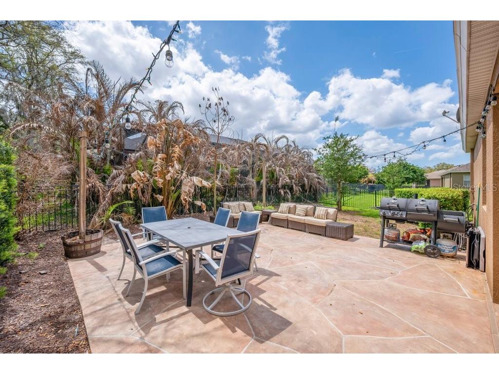 15721 Oakleaf Run Drive Lithia FL 33547 TB8492356 image35