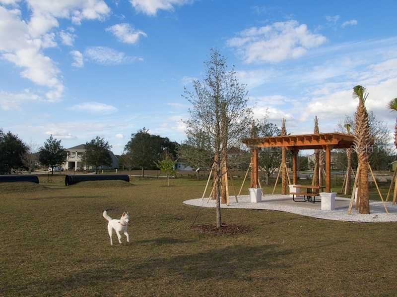 15721 Oakleaf Run Drive Lithia FL 33547 TB8492356 image46