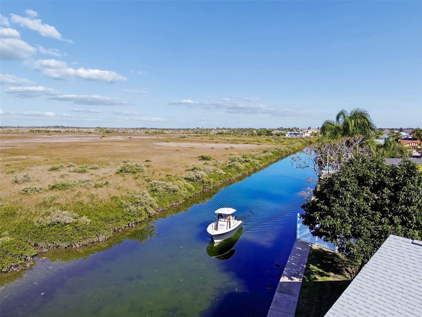 15722 Donzi Drive Hudson FL 34667 O6379723 image16