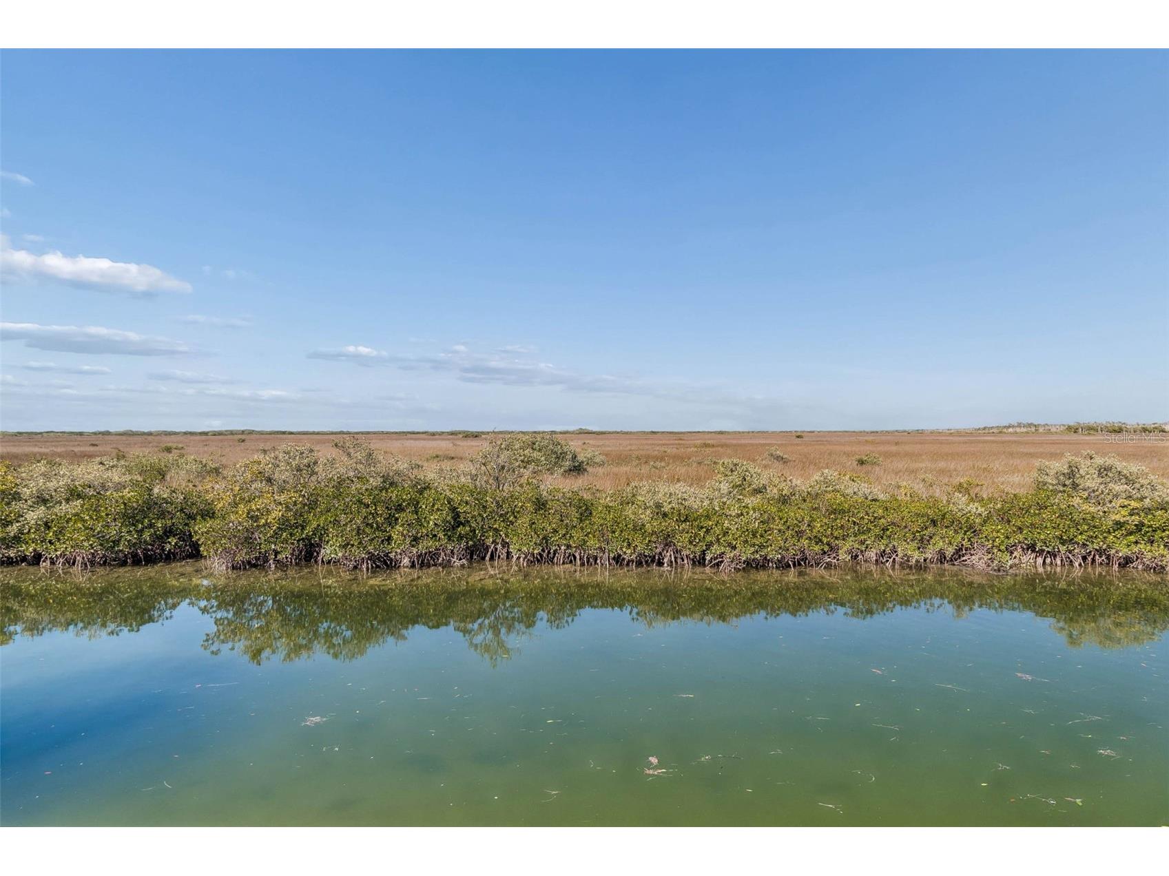 15722 Donzi Drive Hudson FL 34667 O6379723 image77