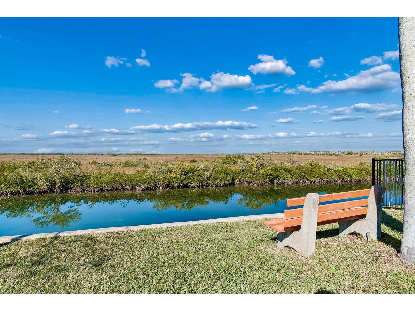 15722 Donzi Drive Hudson FL 34667 O6379723 image78