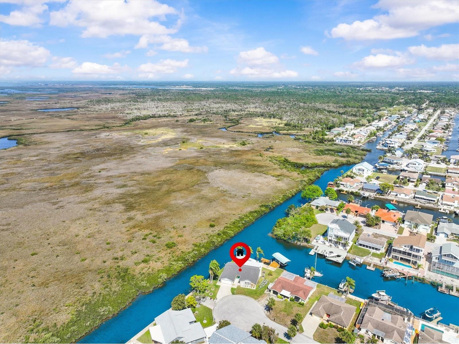 15722 Donzi Drive Hudson FL 34667 - GULF W7885604 image60